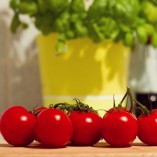 Törtchen mit Ricotta, Gorgonzola und Tomaten
